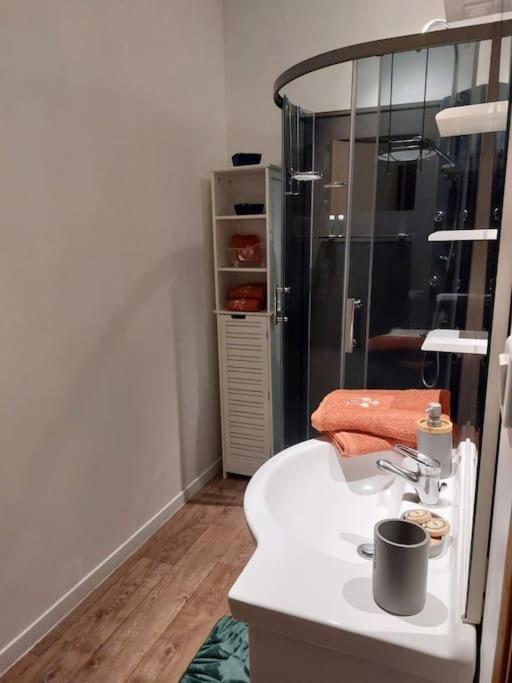 Appartement Proche Des Parcs Vichy Extérieur photo